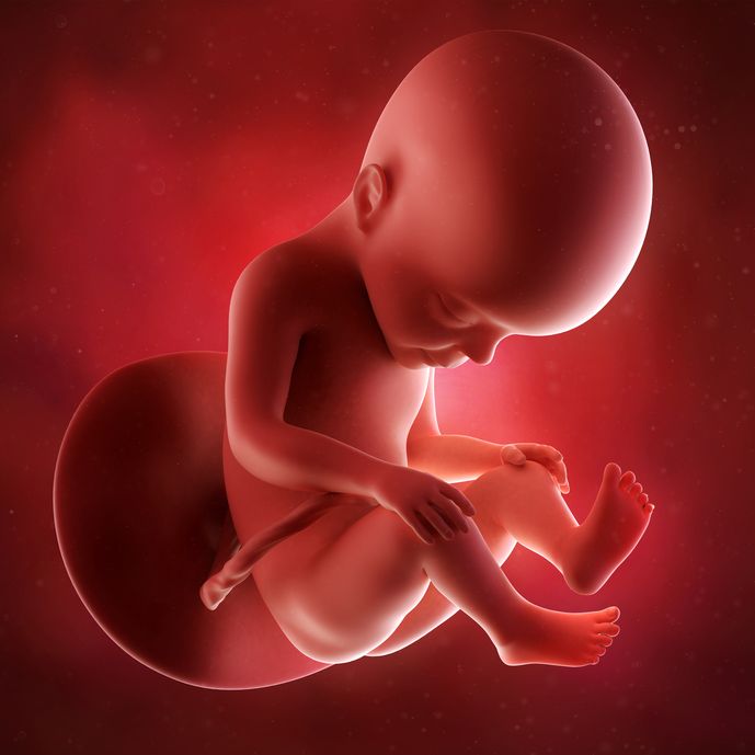 Week 27's Image